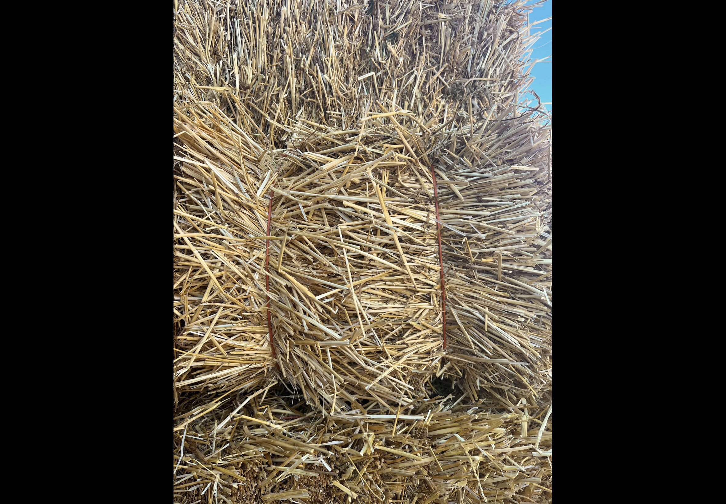 Hay Bedding at Quality Feeds Farm & Pet