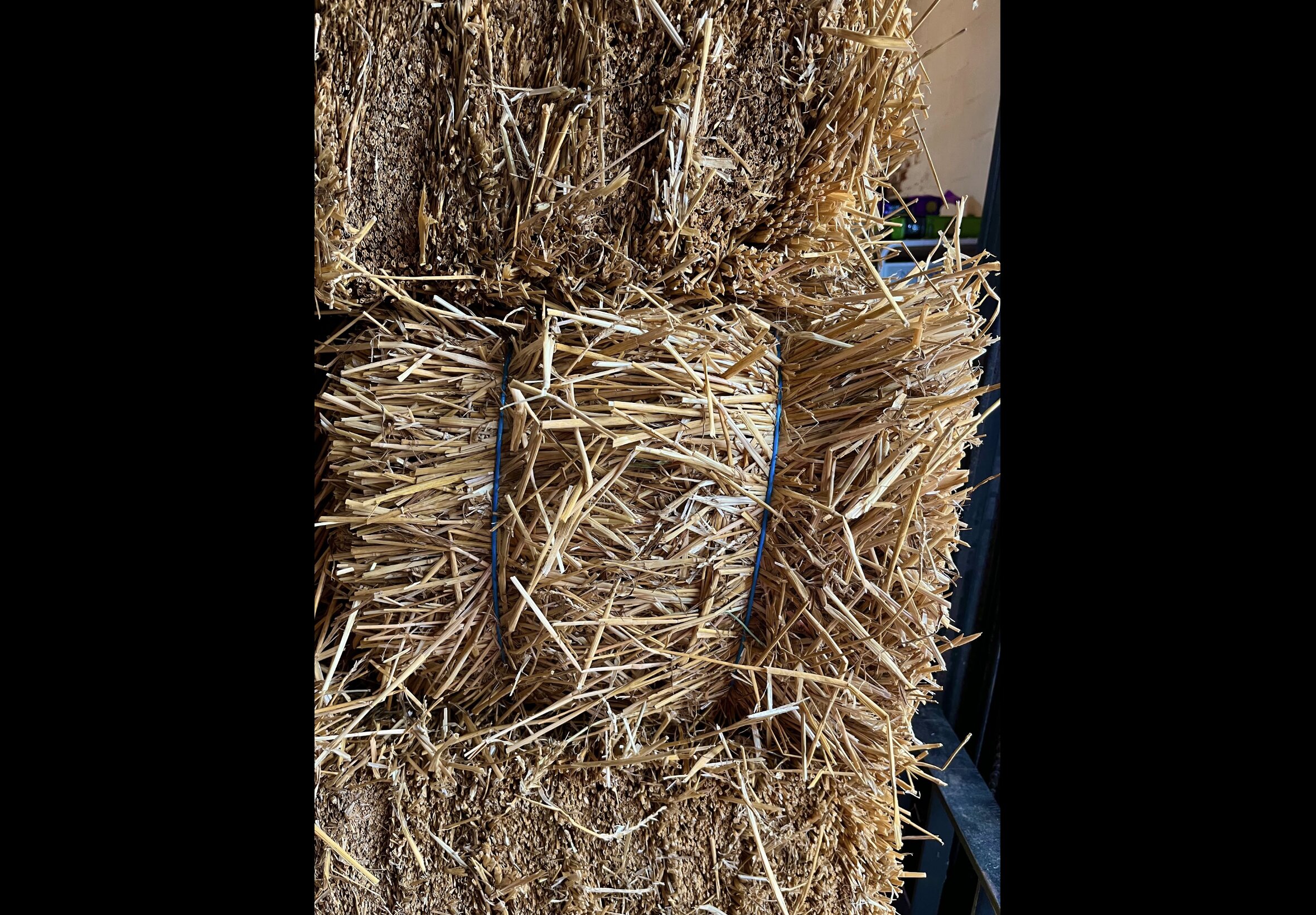 Hay Bedding at Quality Feeds Farm & Pet