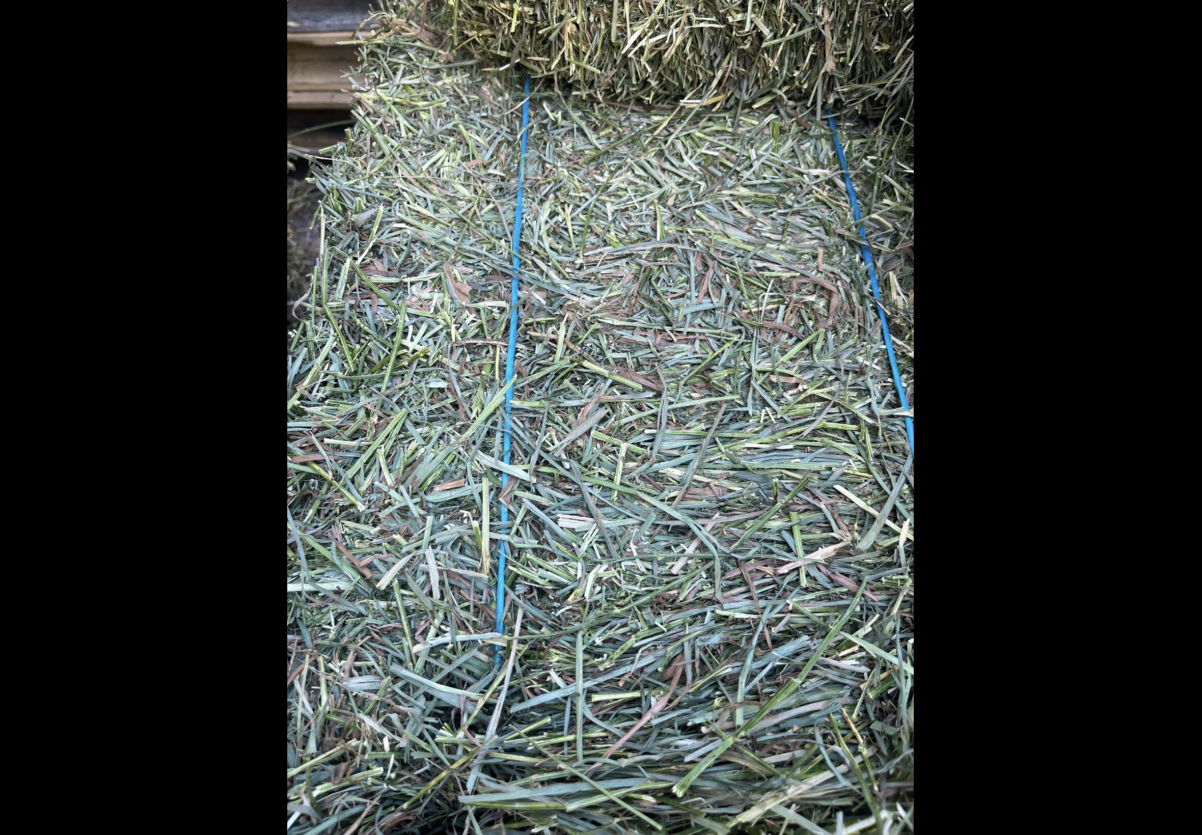 Hay Bedding at Quality Feeds Farm & Pet