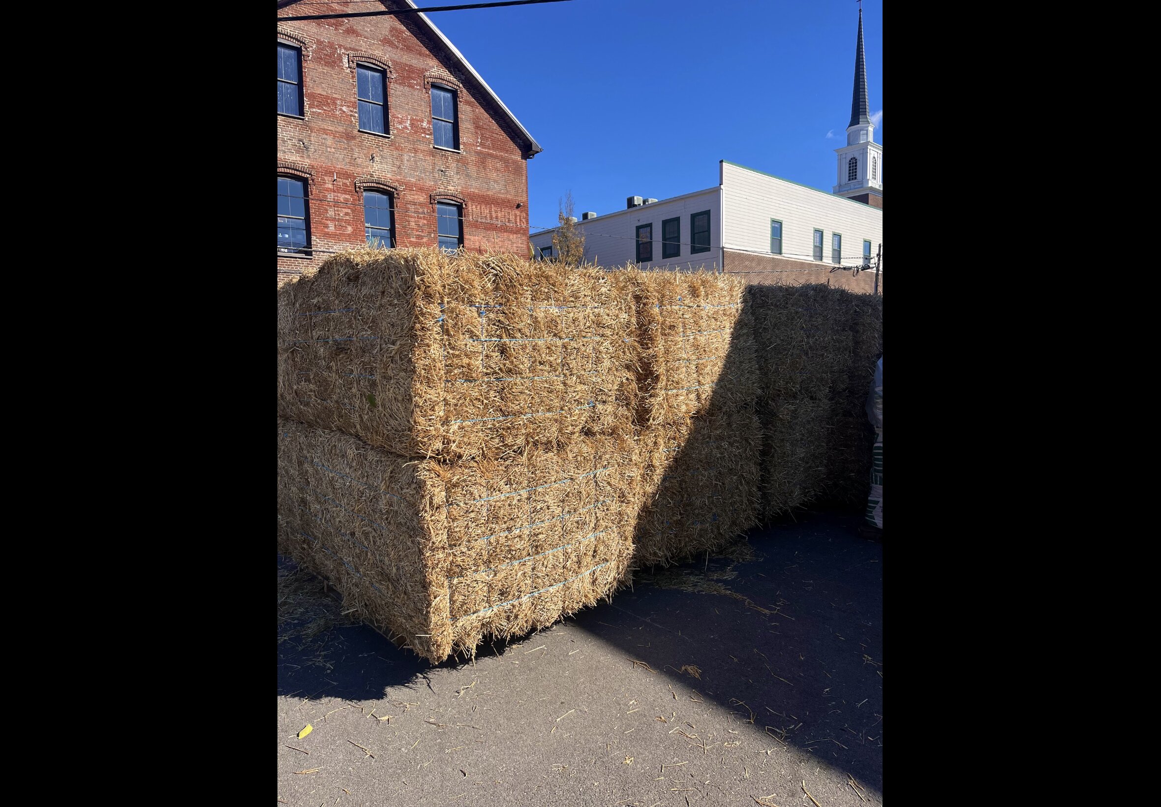 Hay Bedding at Quality Feeds Farm & Pet