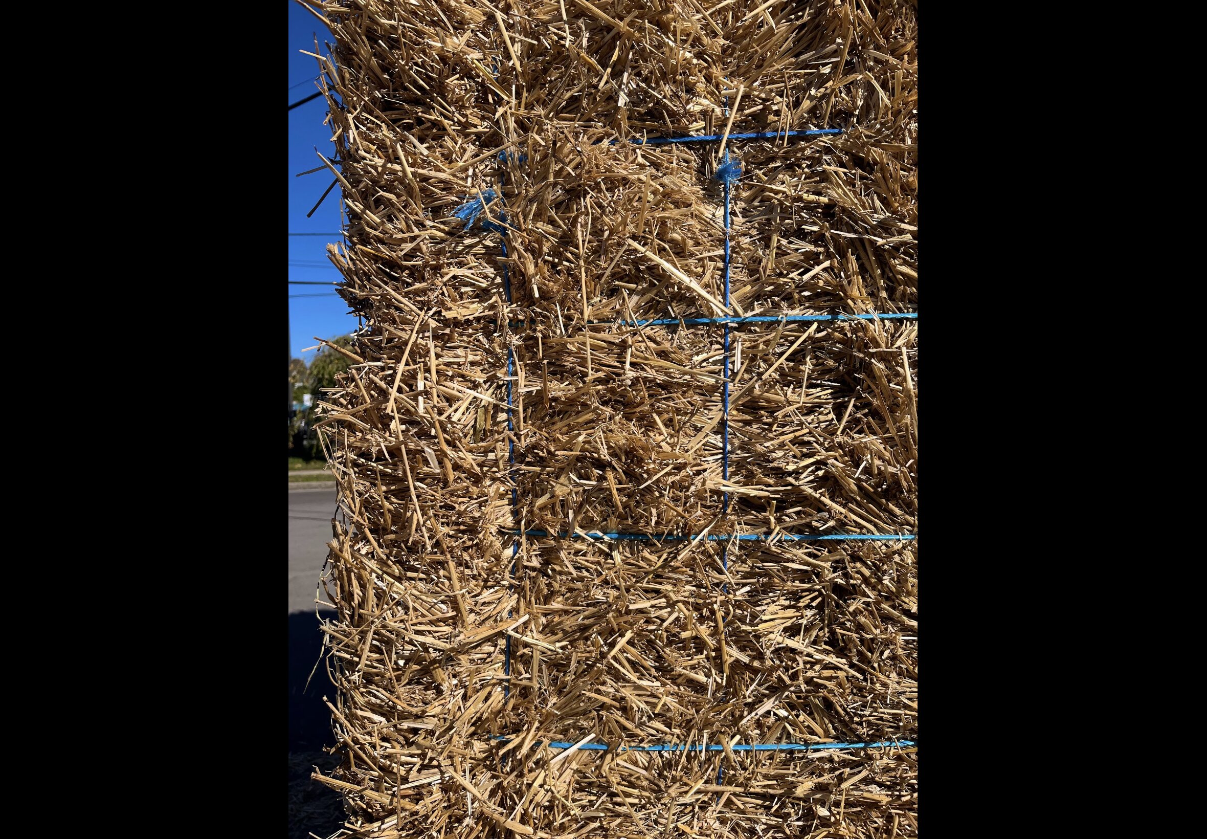 Hay Bedding at Quality Feeds Farm & Pet