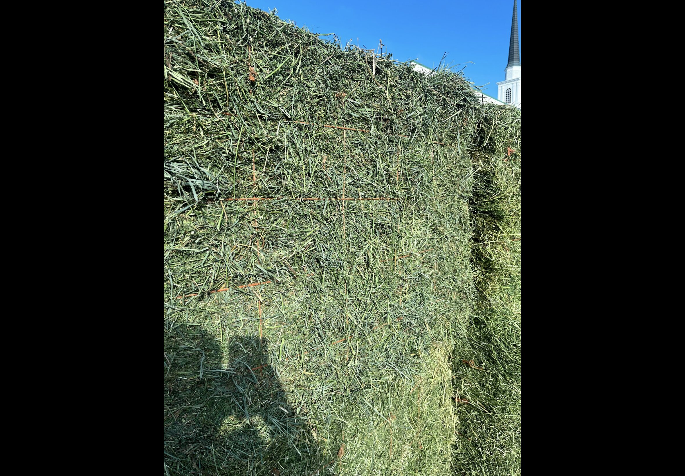 Hay Bedding at Quality Feeds Farm & Pet