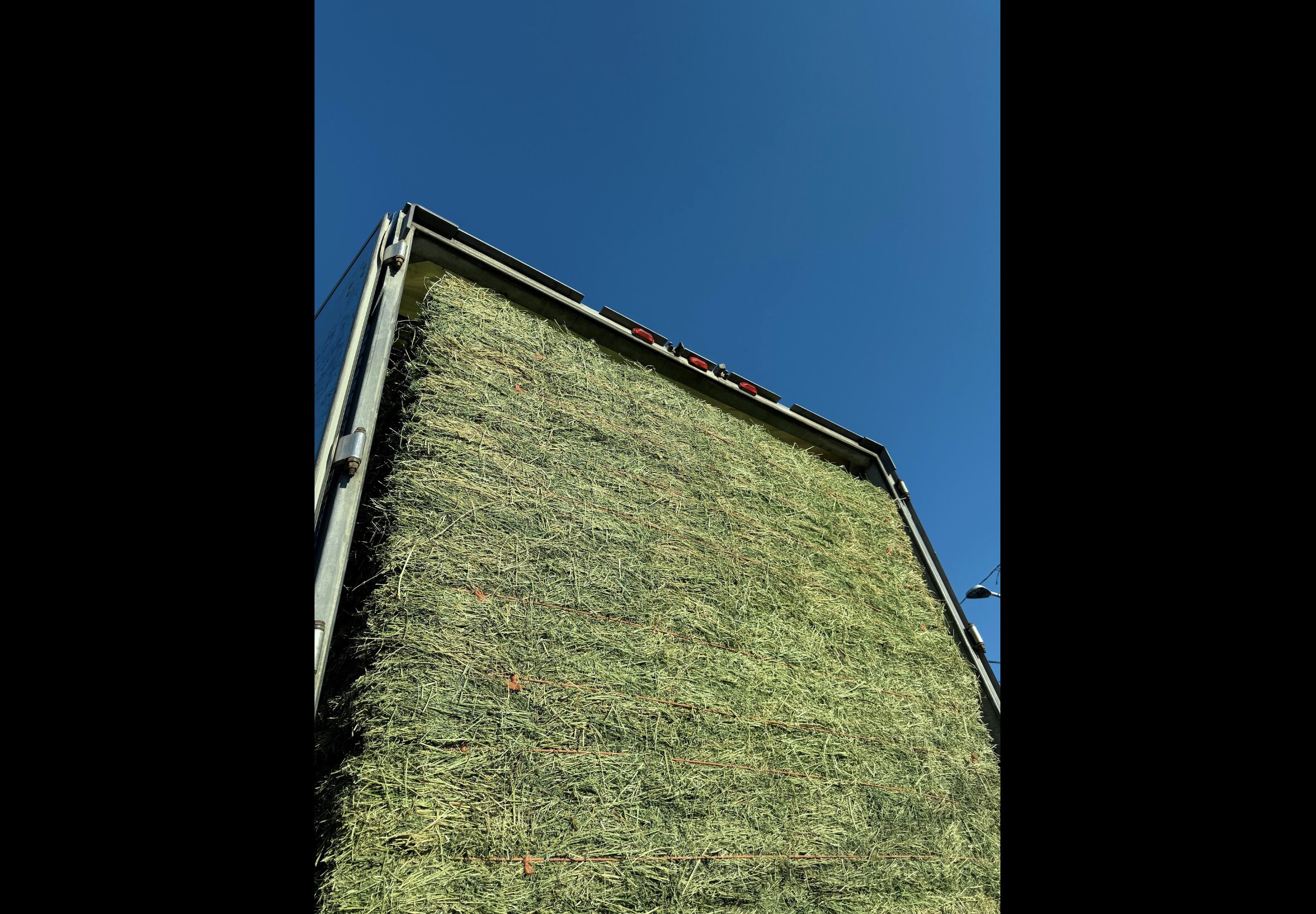 Hay Bedding at Quality Feeds Farm & Pet