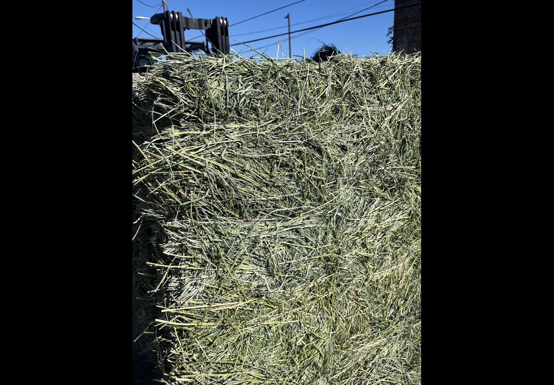 Hay Bedding at Quality Feeds Farm & Pet