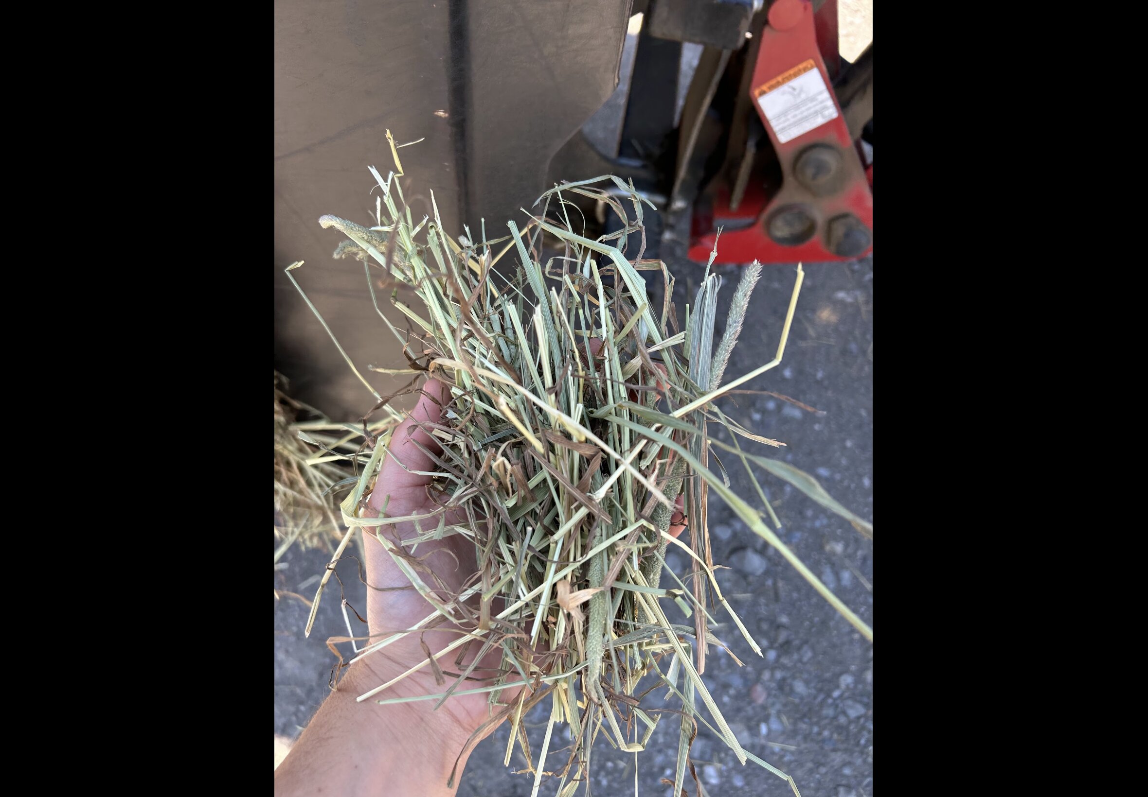 Hay Bedding at Quality Feeds Farm & Pet