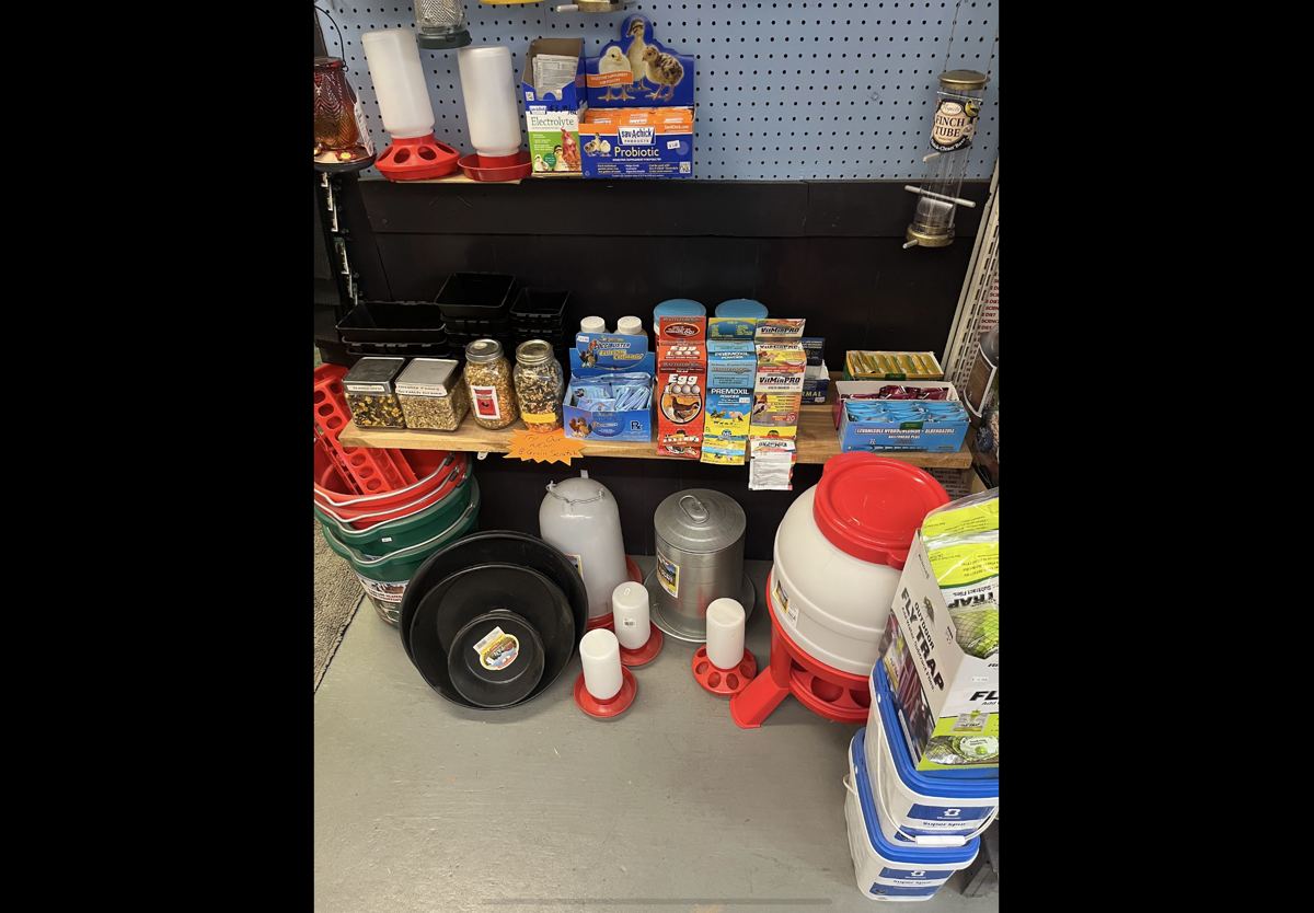 Horse Livestock Supplies at Quality Feeds Farm & Pet