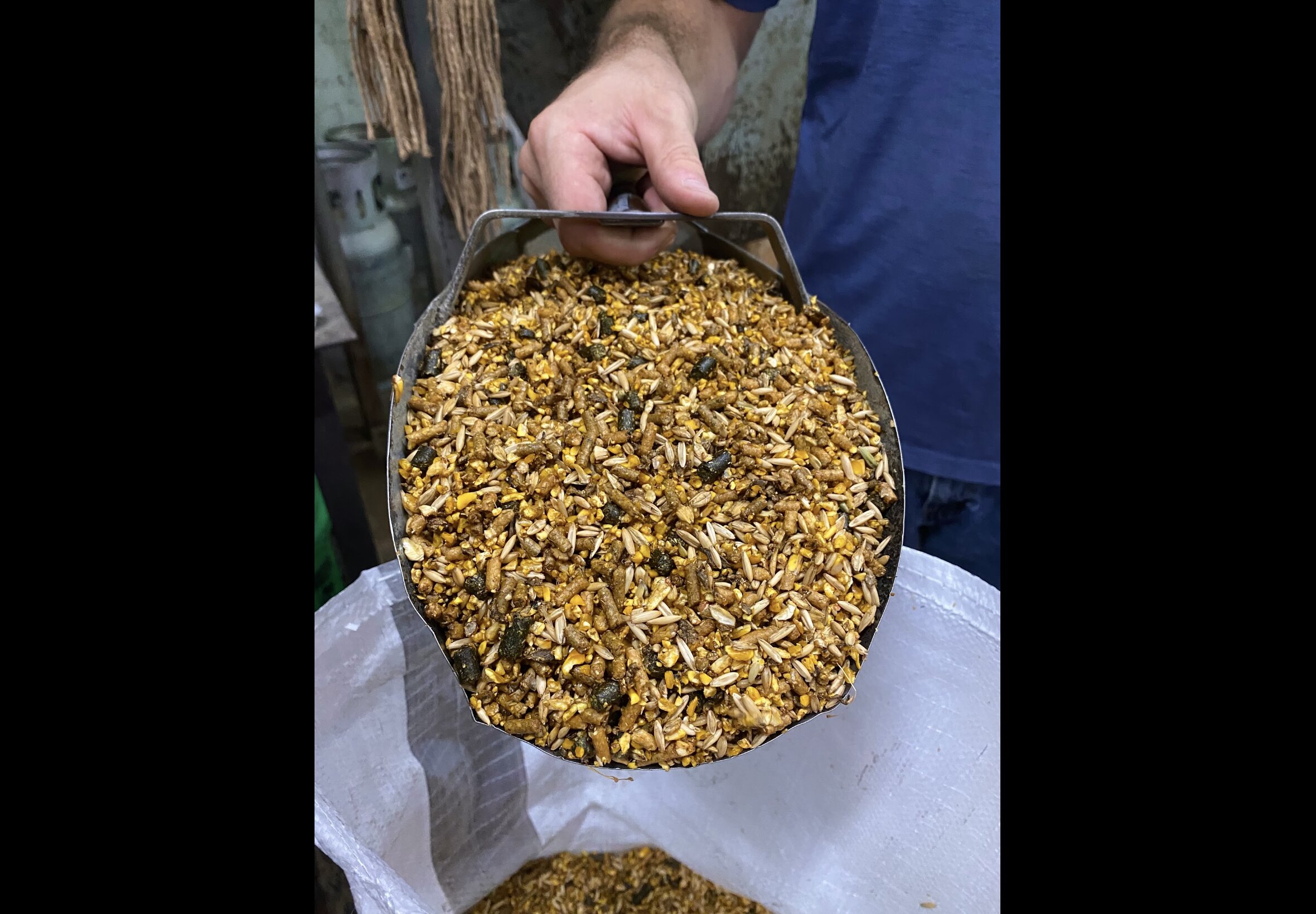 Livestock Feed at Quality Feeds Farm & Pet