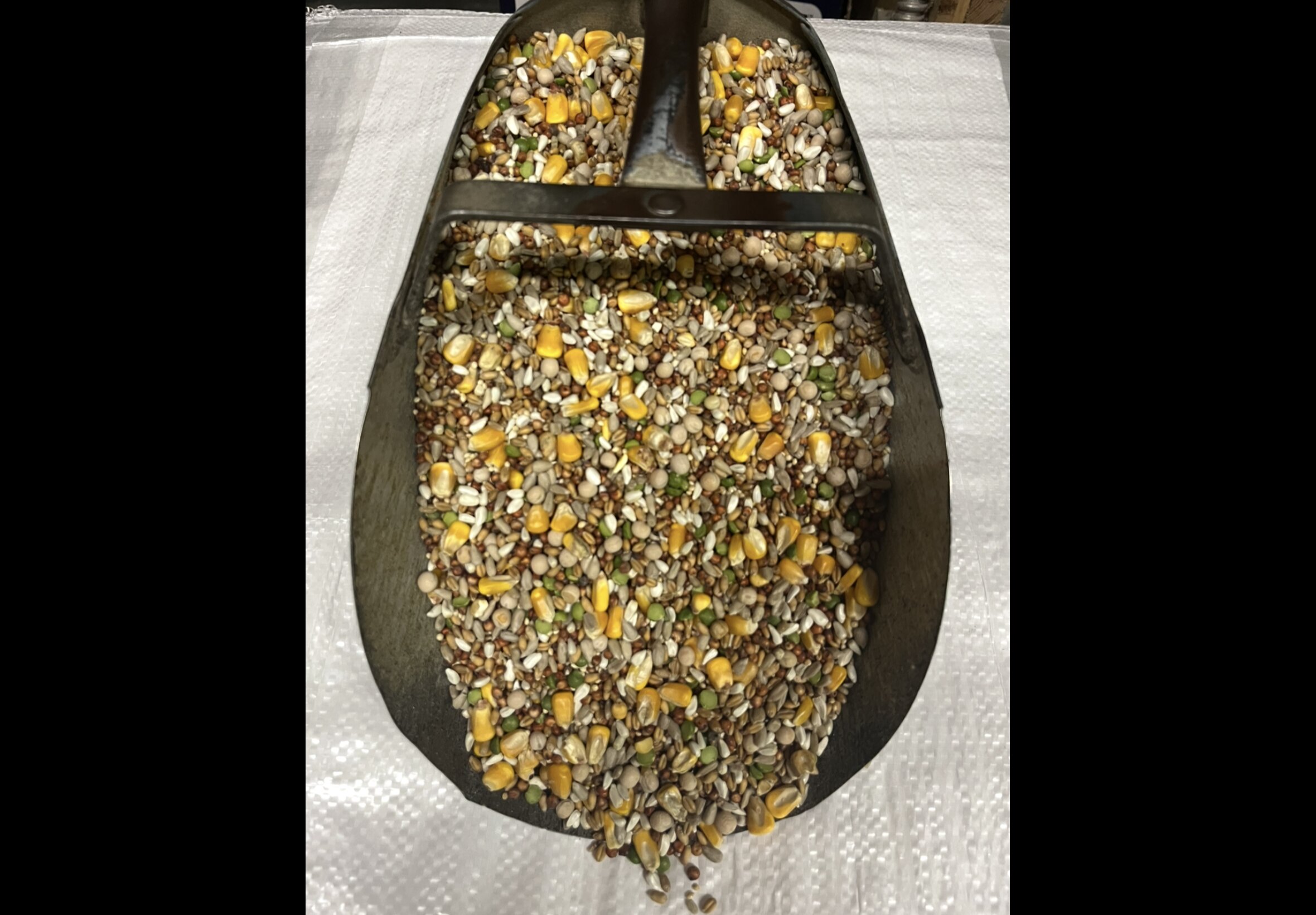 Livestock Feed at Quality Feeds Farm & Pet