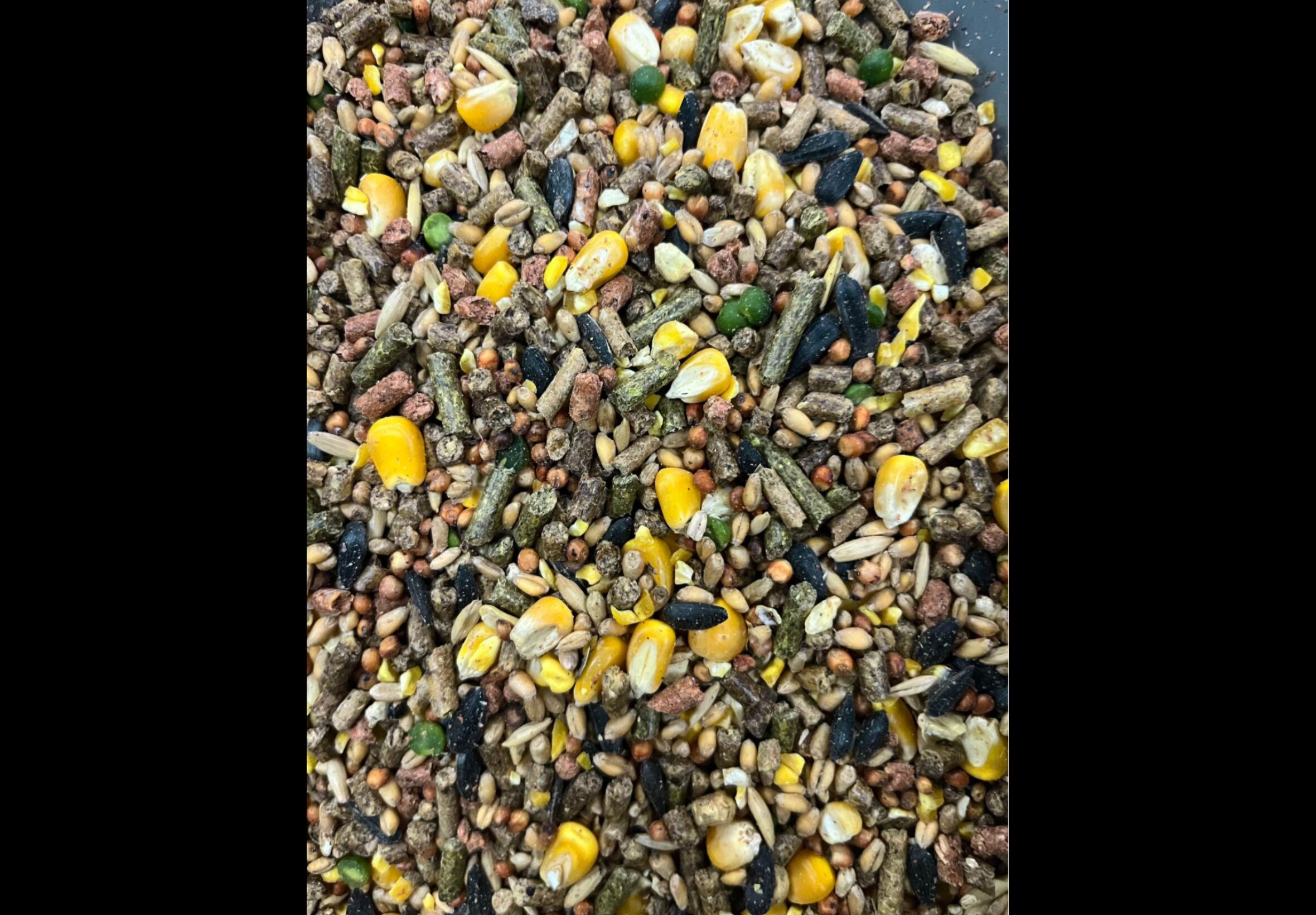 Livestock Feed at Quality Feeds Farm & Pet