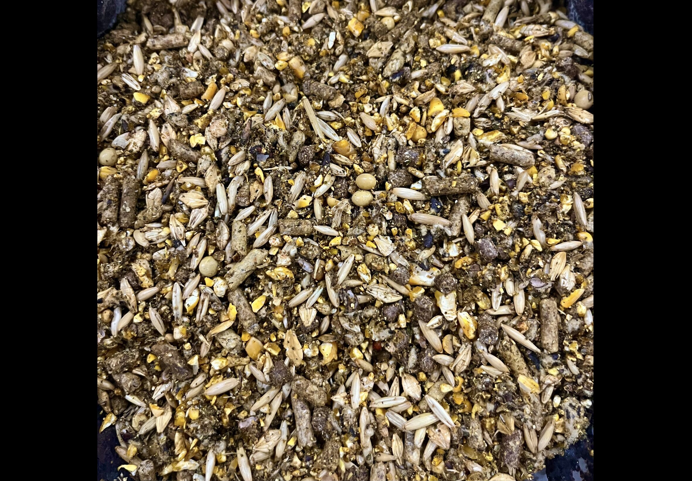 Livestock Feed at Quality Feeds Farm & Pet