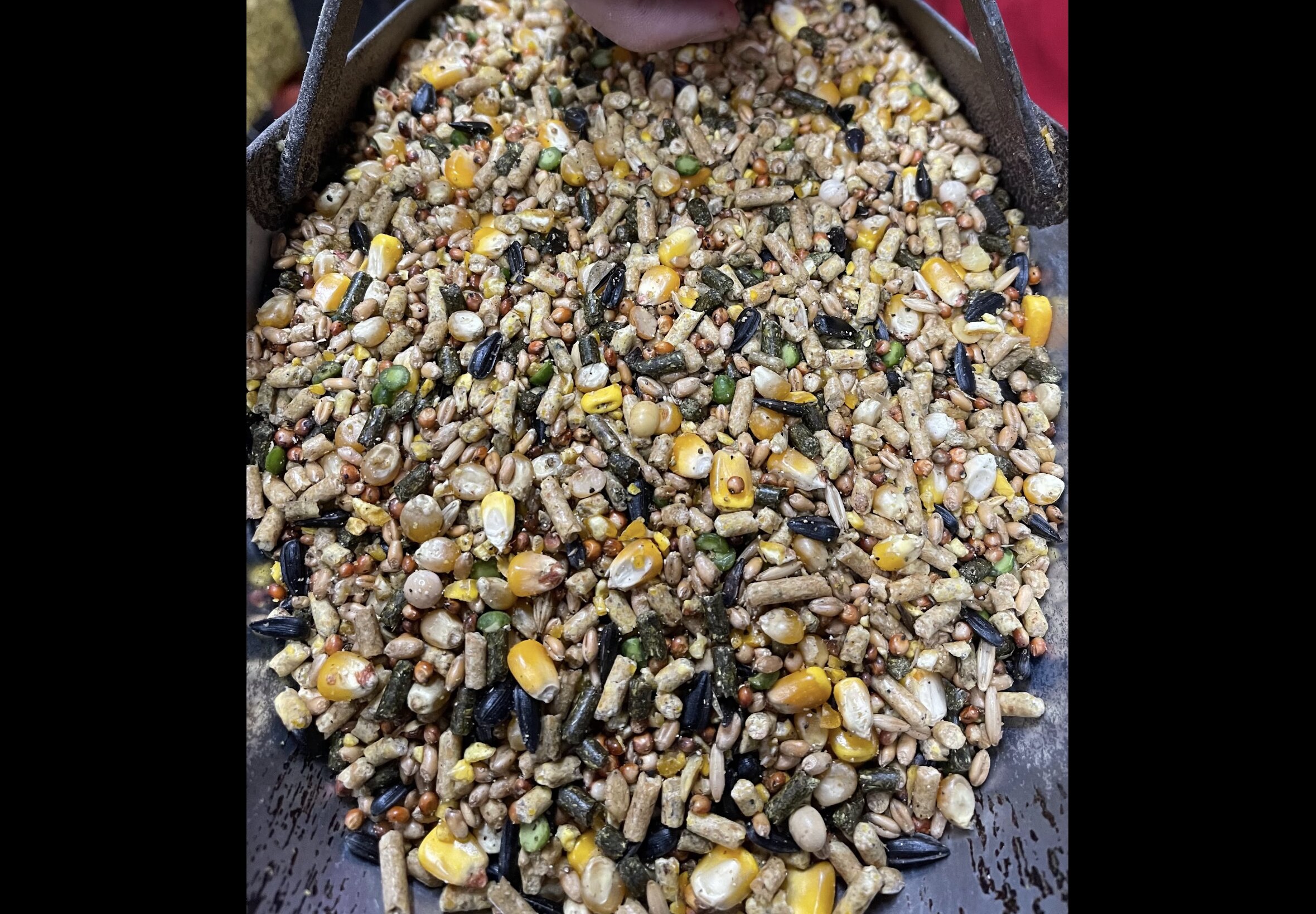 Livestock Feed at Quality Feeds Farm & Pet