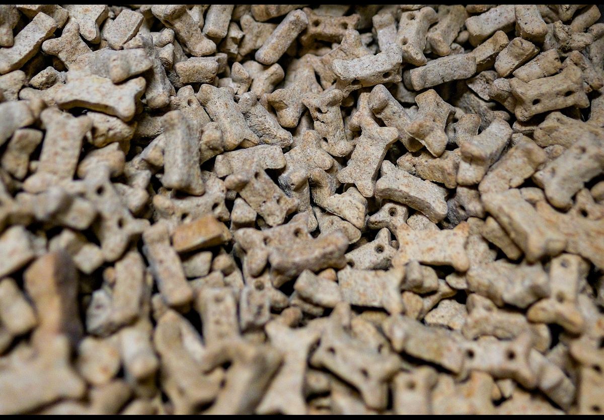Pet Food & Supplies at Quality Feeds Farm & Pet